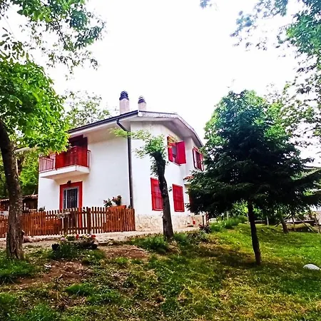 La Casa Nel Bosco *