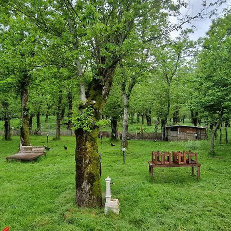 La Casa Nel Bosco Apartment Serino (Campania)